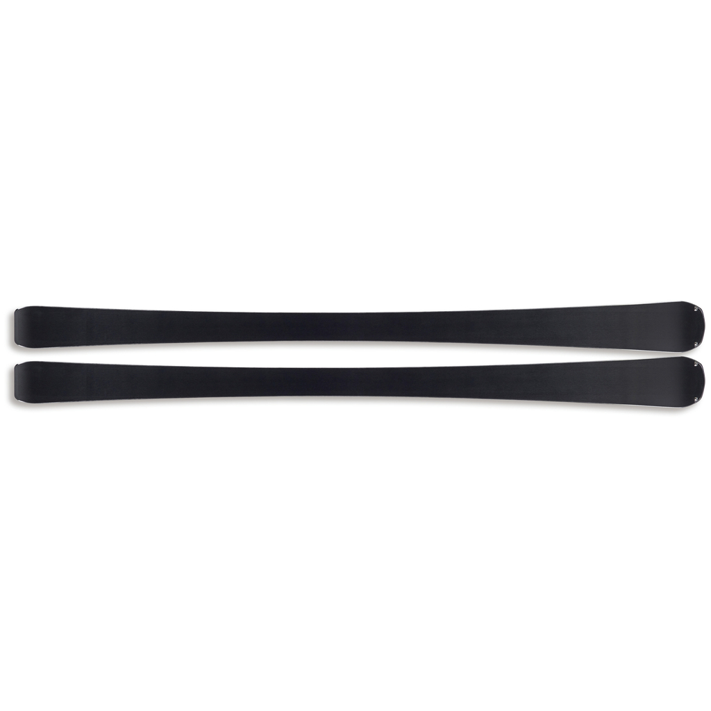 Alpin ski Fischer The Curv DTi
