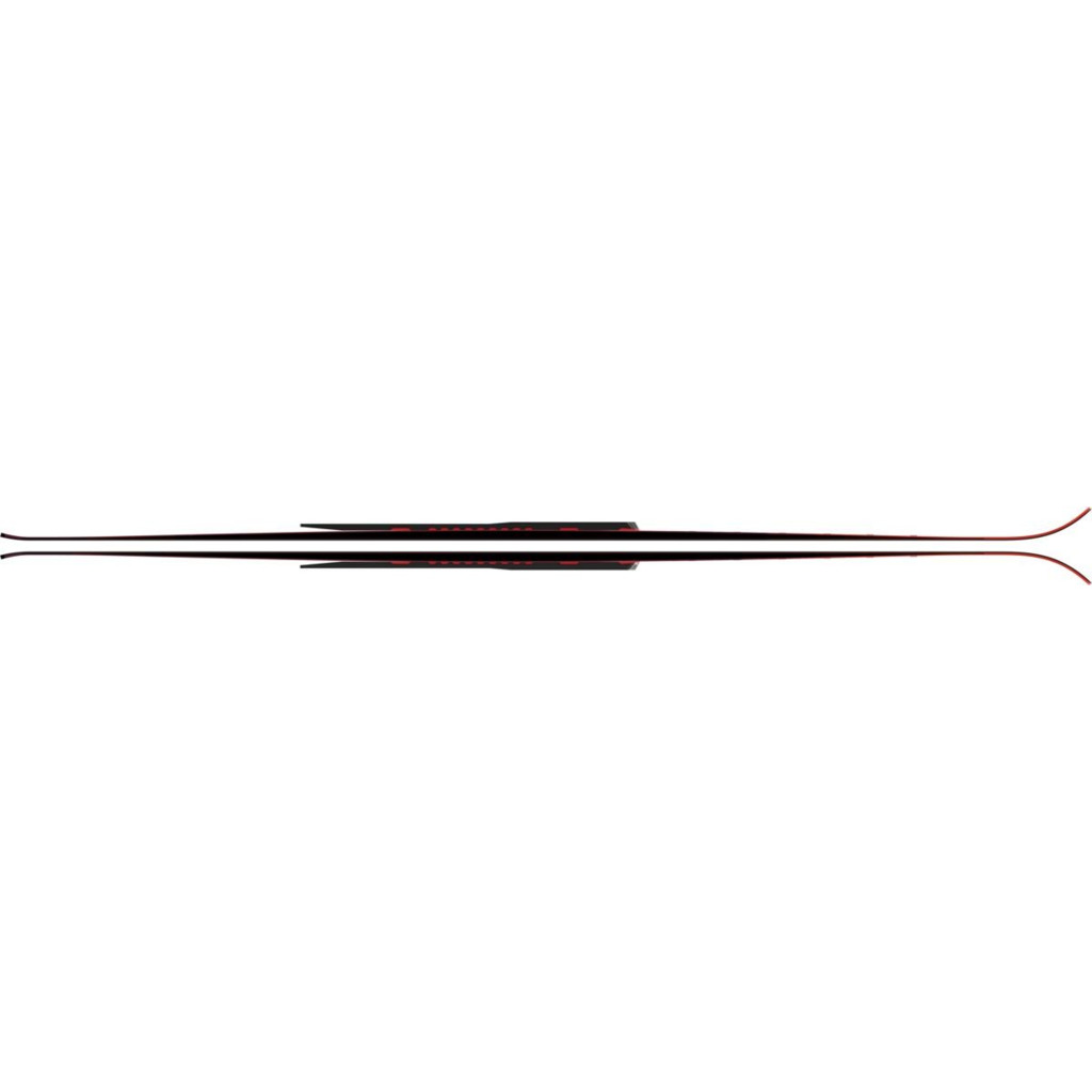 Alpin ski Atomic Redster G9 RS Revoshock 176