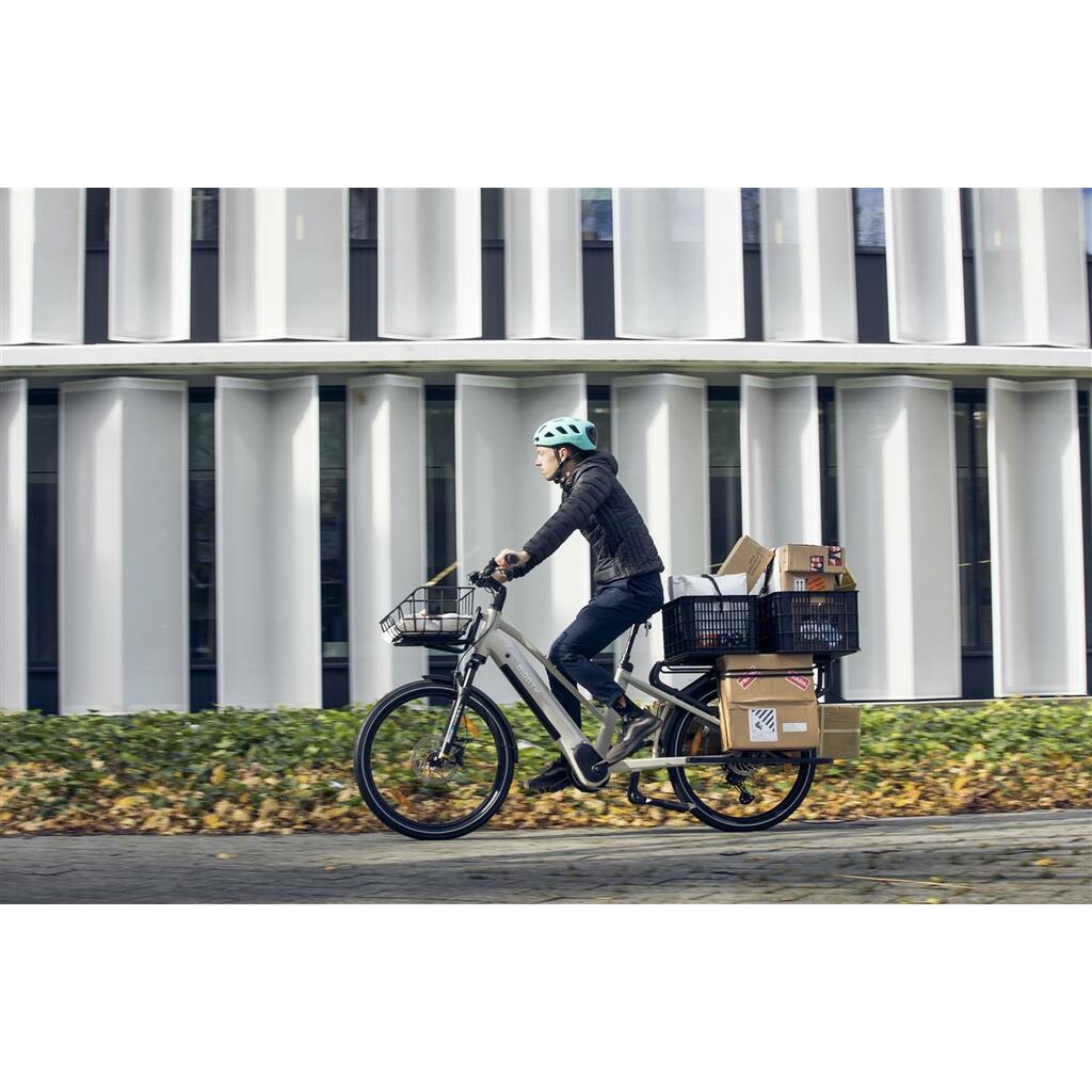 Cargo Bikes MONTY V8 Rover Pro