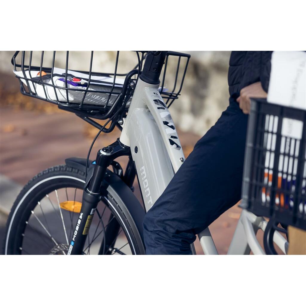 Cargo Bikes MONTY V8 Rover Pro