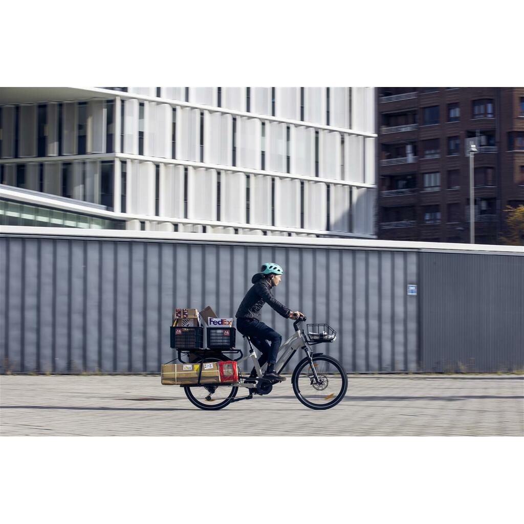 Cargo Bikes MONTY V8 Rover Pro