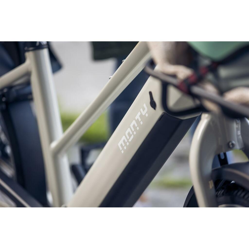 Cargo Bikes MONTY V6 Strada ST