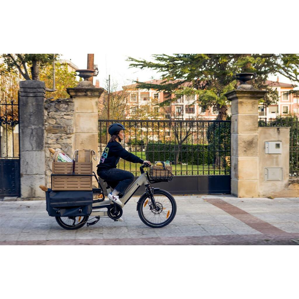 Cargo Bikes MONTY V4 Rover